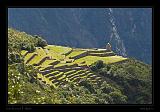 Machu Piccu 072